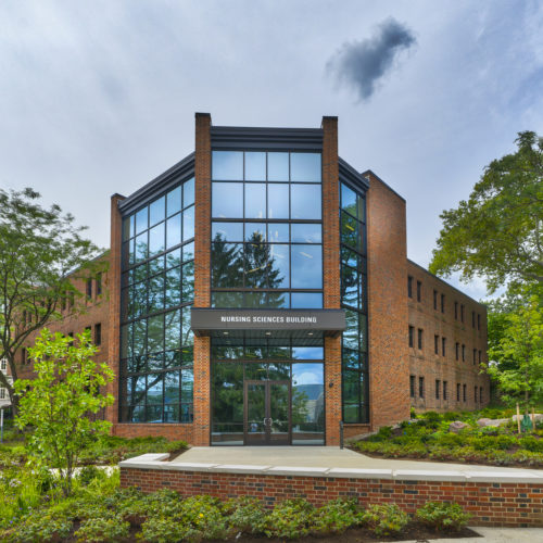 Penn State Nursing >> Home Beta Sigma Chapter Penn State Nursing >> Home Beta Sigma Chapter