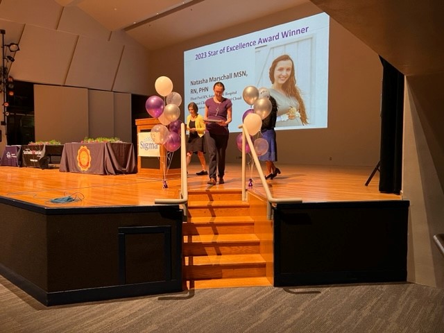 Star of Excellence Award