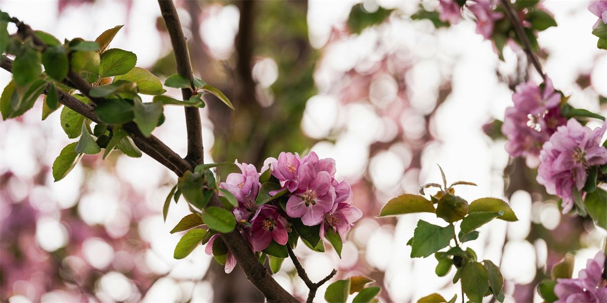 SPRING RESEARCH SYMPOSIUM: ADVANCING NURSING EDUCATION - Zeta Theta at ...