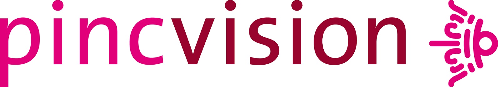 Picvision