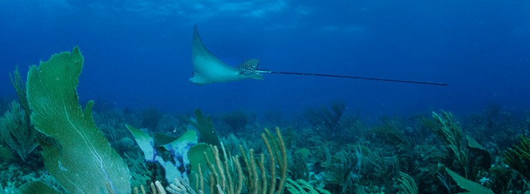 Test Micrsosite logo. This will take you to the homepage