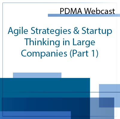 Agile Strategies & Startup Thinking in Large Companies Agile Strategies & Startup Thinking in Large Companies