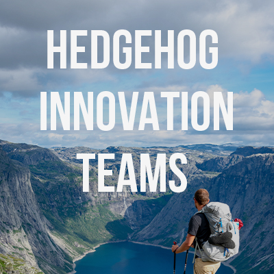 By Patrick Boehnen and Ty Hagler Hedgehog Innovation Teams: Focused, Nimble, Dangerous