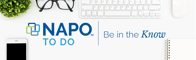 NAPO To Do NAPO-18-ToDo-Banner.jpg
