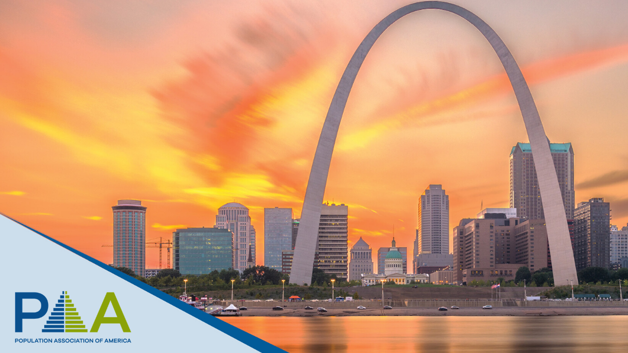 St Louis Zoom Background