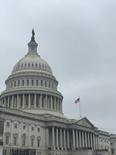 Capitol Dome