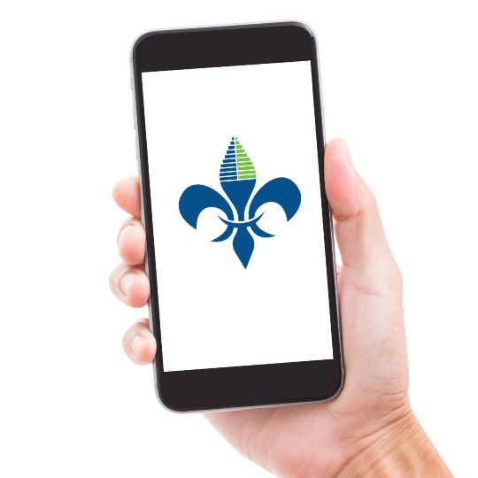 Hand holding mobile phone