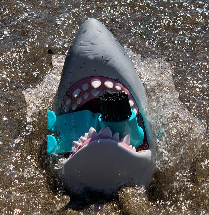 Go for a swim, they said! It'll be fun, they said! 