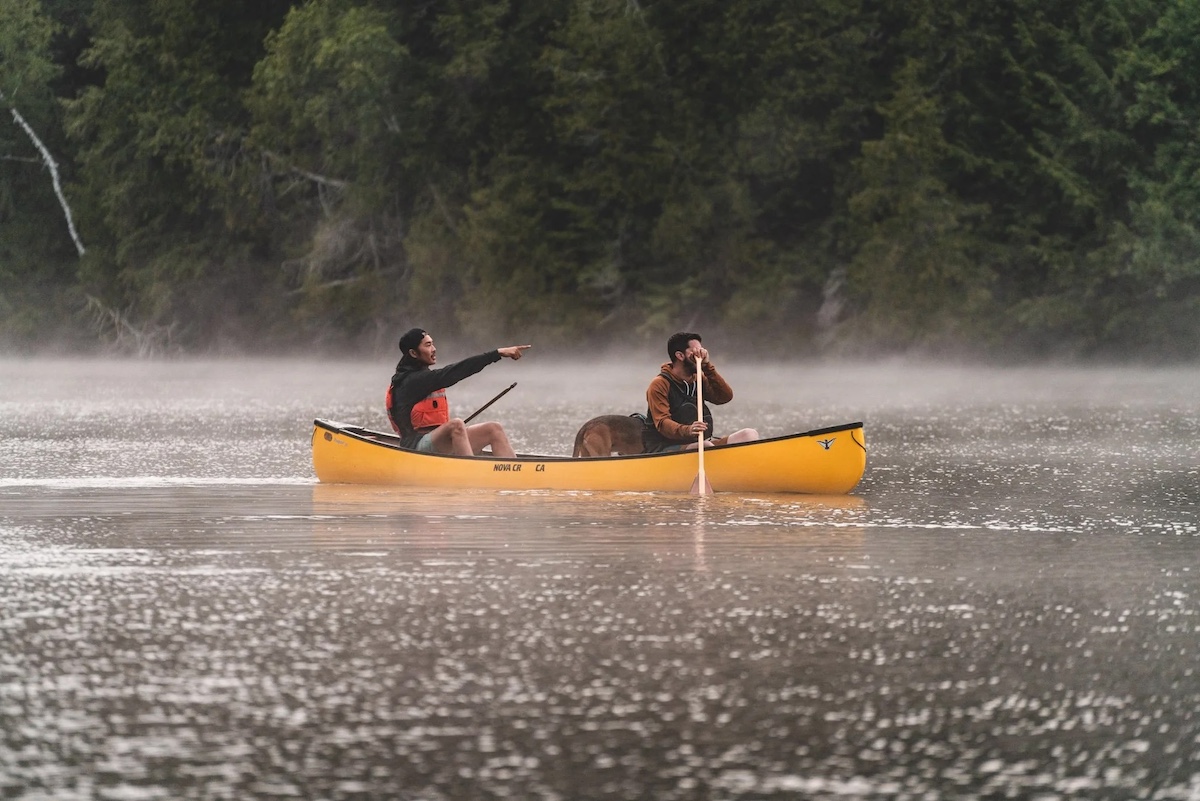 Black Friday at Level Six