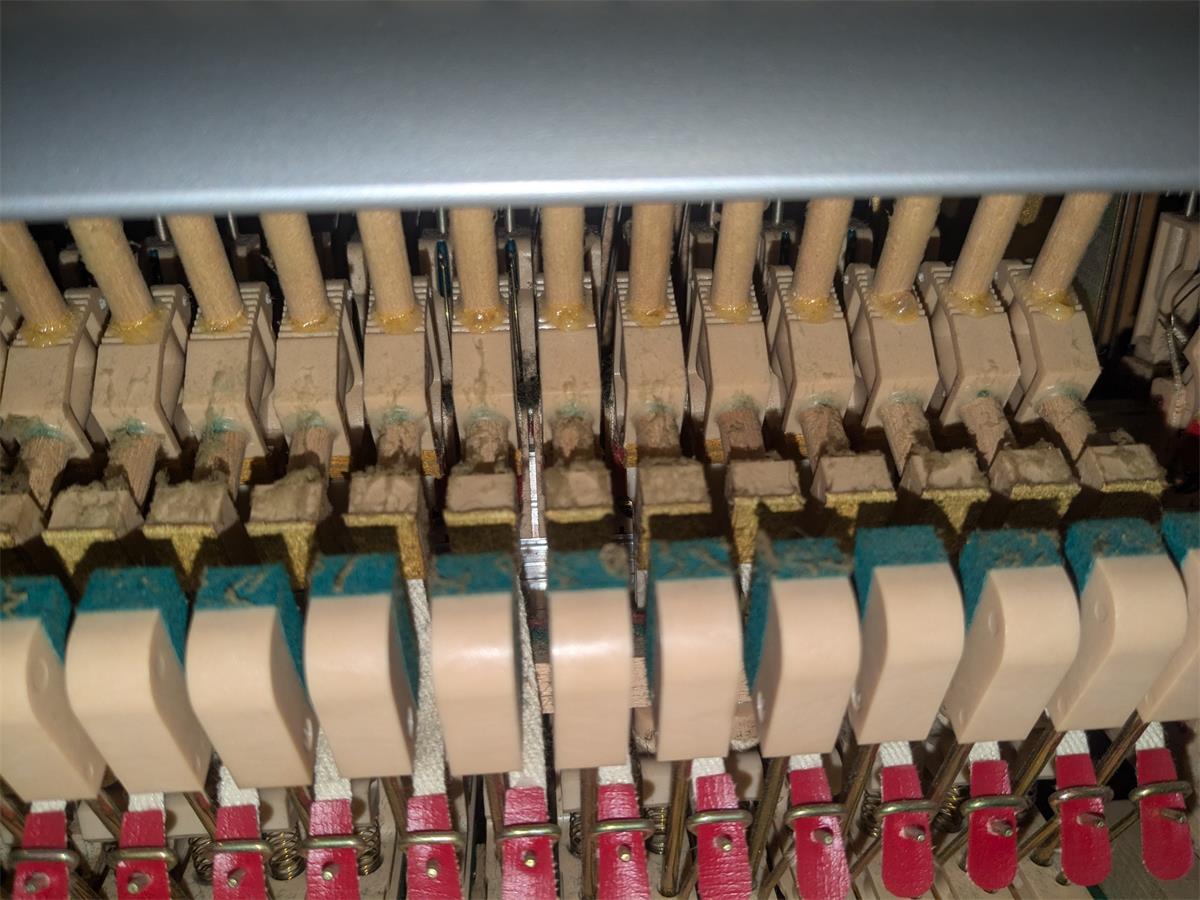 Fuzz (mold?) on hammer butts