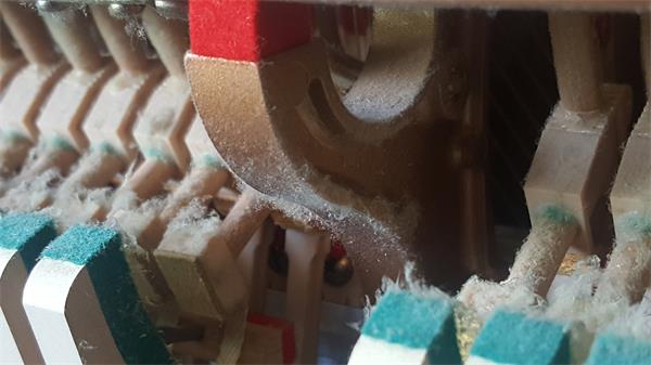 Ecsaine Wear on Kawai Upright Catchers