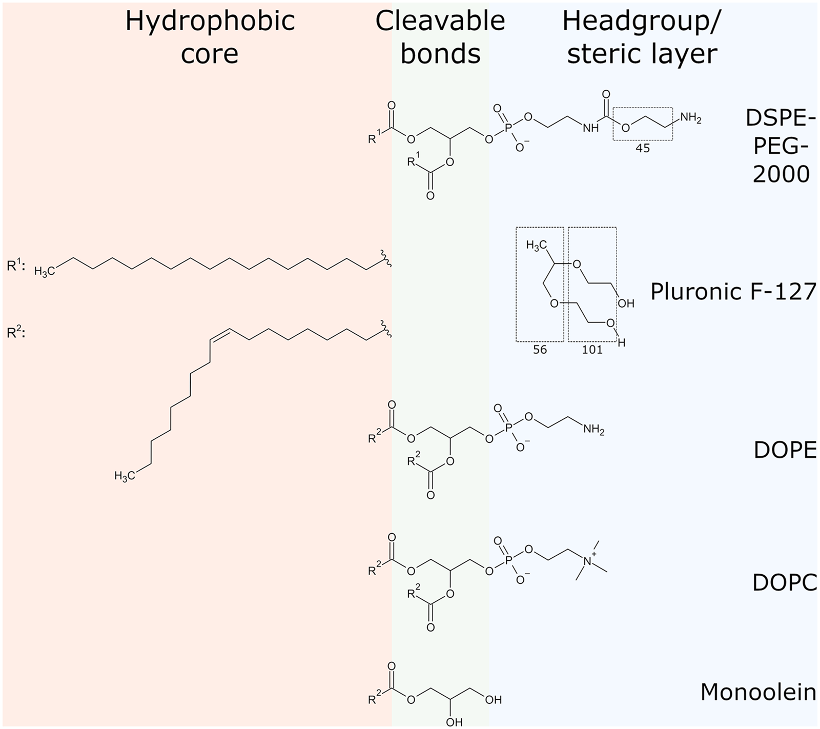 Composite figure showing a side profile of the particle and fluid interface, divided into a hydrophobic core, a cleavable bond region, and a headgroup or steric layer, with molecular structures of lipids and stabilizers labeled on the right. The hydrophobic core contains two lipid chains labeled R one and R two, with R one showing a saturated hydrocarbon chain and R two showing an unsaturated hydrocarbon chain. The cleavable bond region shows lipid structures connected through ester and phosphate-containing linkages. The headgroup or steric layer contains structures for DSPE PEG 2000, Pluronic F 127, DOPE, DOPC, and monoolein. DSPE PEG 2000 shows a long PEG chain extending from the lipid structure, while Pluronic F 127 shows separate hydrophobic and hydrophilic regions within its molecular structure. Dashed boxes highlight portions of the DSPE PEG 2000 and Pluronic F 127 structures, with the numbers 45, 56, and 101 shown beneath the highlighted regions. DOPE and DOPC show phospholipid structures with different terminal headgroups, while monoolein shows a glycerol-based structure with hydroxyl groups. Background shading separates the hydrophobic core, cleavable bonds, and headgroup or steric layer regions.