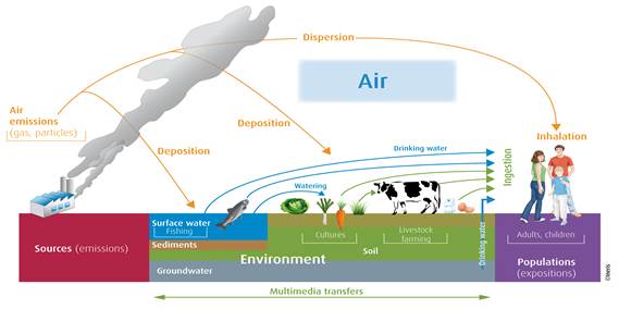 Une image contenant texte, carte, capture d’écran, conception
Description générée automatiquement