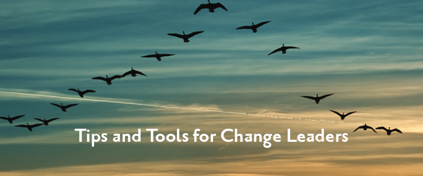 tips-and-tools-for-change-leaders.png