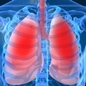Genetic_risk_analysis_of_a_patient_with_fulminant_autoimmune_type_1_diabetes_mellitus.jpg