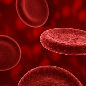 Genetic_risk_analysis_of_a_patient_with_fulminant_autoimmune_type_1_diabetes_mellitus.jpg