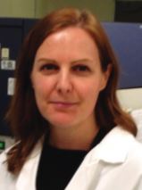 Tolstoy by henri troyat picture