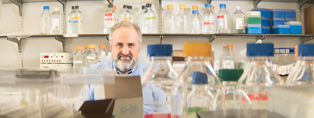 Dmitry Gabrilovich, MD, PhD 