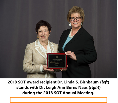 2018 Awards - Birnbaum and Burns Naas.png