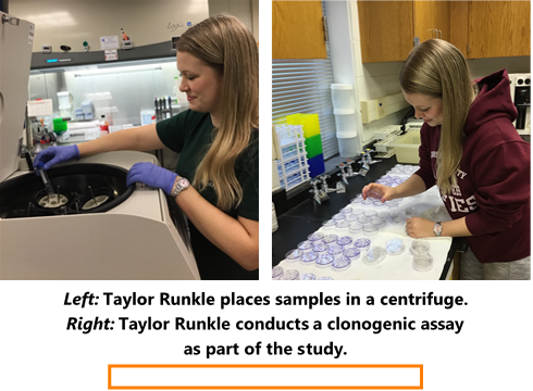 SOT Undergraduate Faculty Grant Program.png