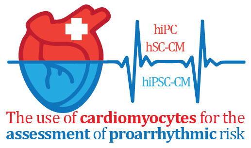 Cardiomyocytes logo.png