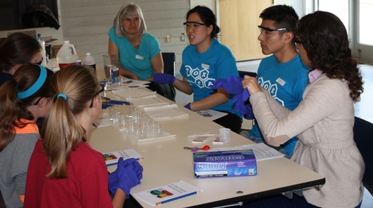 v2Environmental Acid Bases 2.jpg