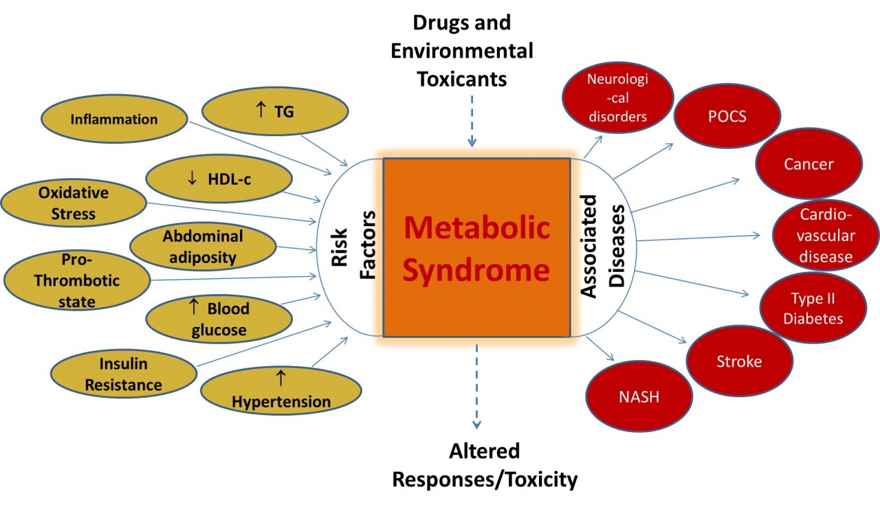 Metabolic syndrome SOT communique figure 1.jpg