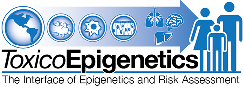 Toxicoepigenetics logo.png