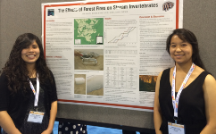 v2poster session.png