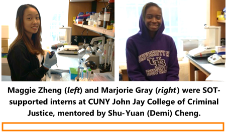 SOT Summer Internship (1).png