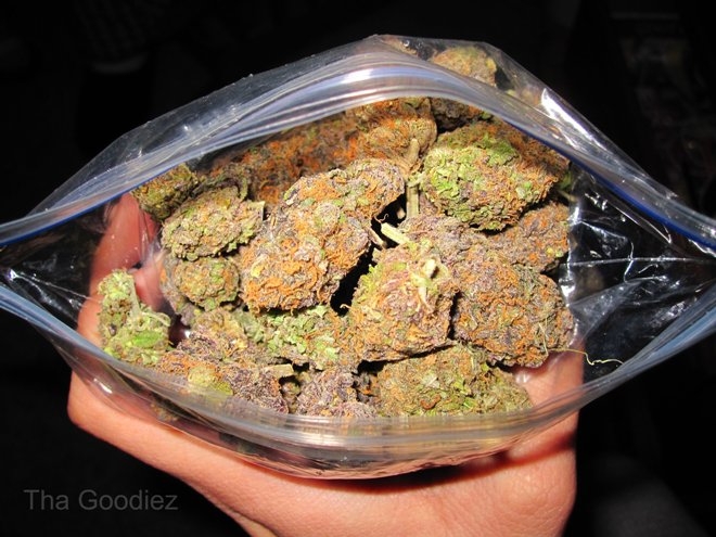 5453070564_0b2540f579_o edited.jpg