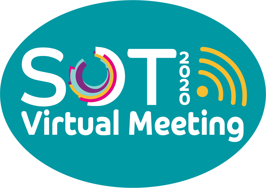 Virtual Meeting Oval.png