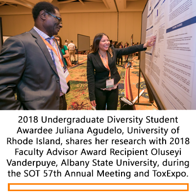 Undergraduate Poster Presentation during the 2018 SOT Annual Meeting