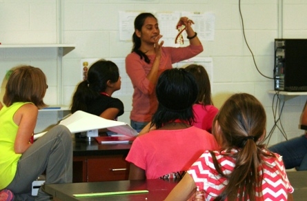 v2DNA extraction1.jpg