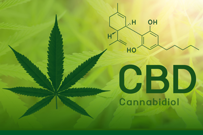 Illustration of a marijuana leaf and the molecular structure of cannabidiol