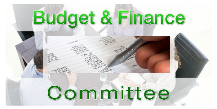 Budget & Finance Committee logo Budget & Finance Committee logo