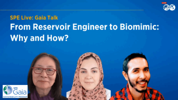 From Reservoir Engineer to Biomimic