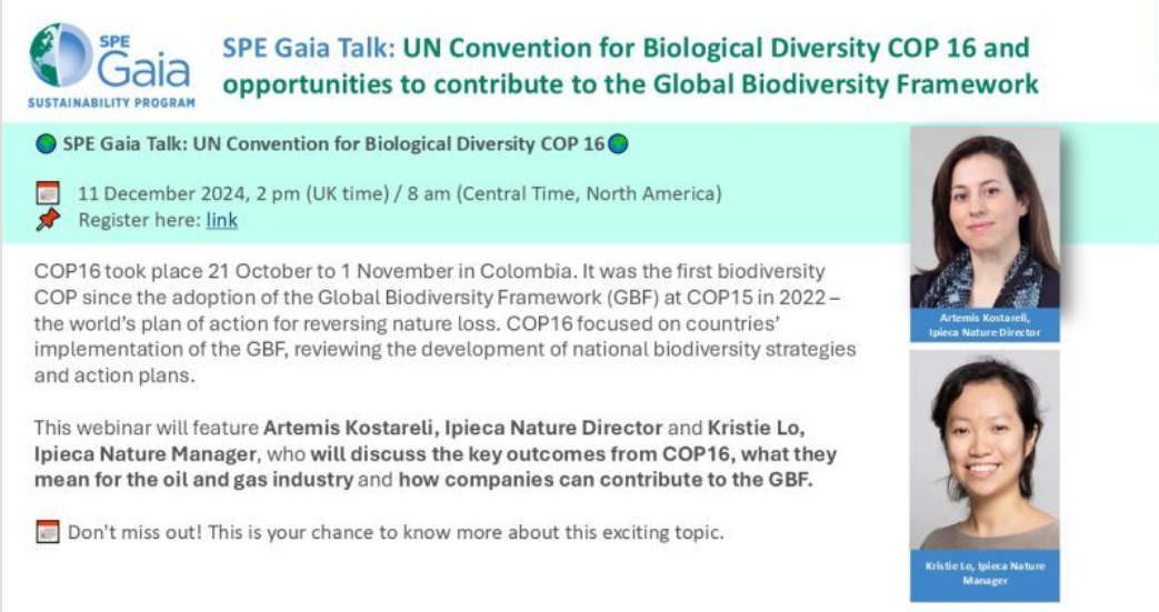 graphical user interface, text, application, email