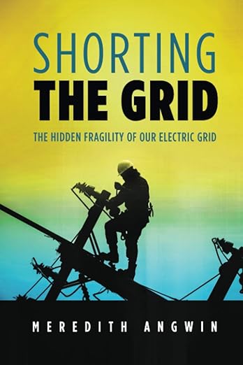 Cover: Shorting the Grid