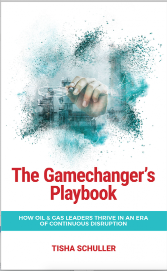 Cover: The Gamechanger's Playbook