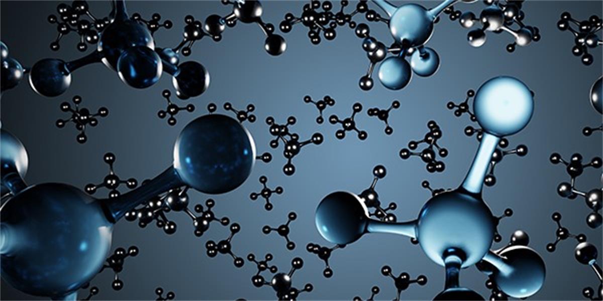 SPE Forum Methane Emissions Management for a Sustainable Future