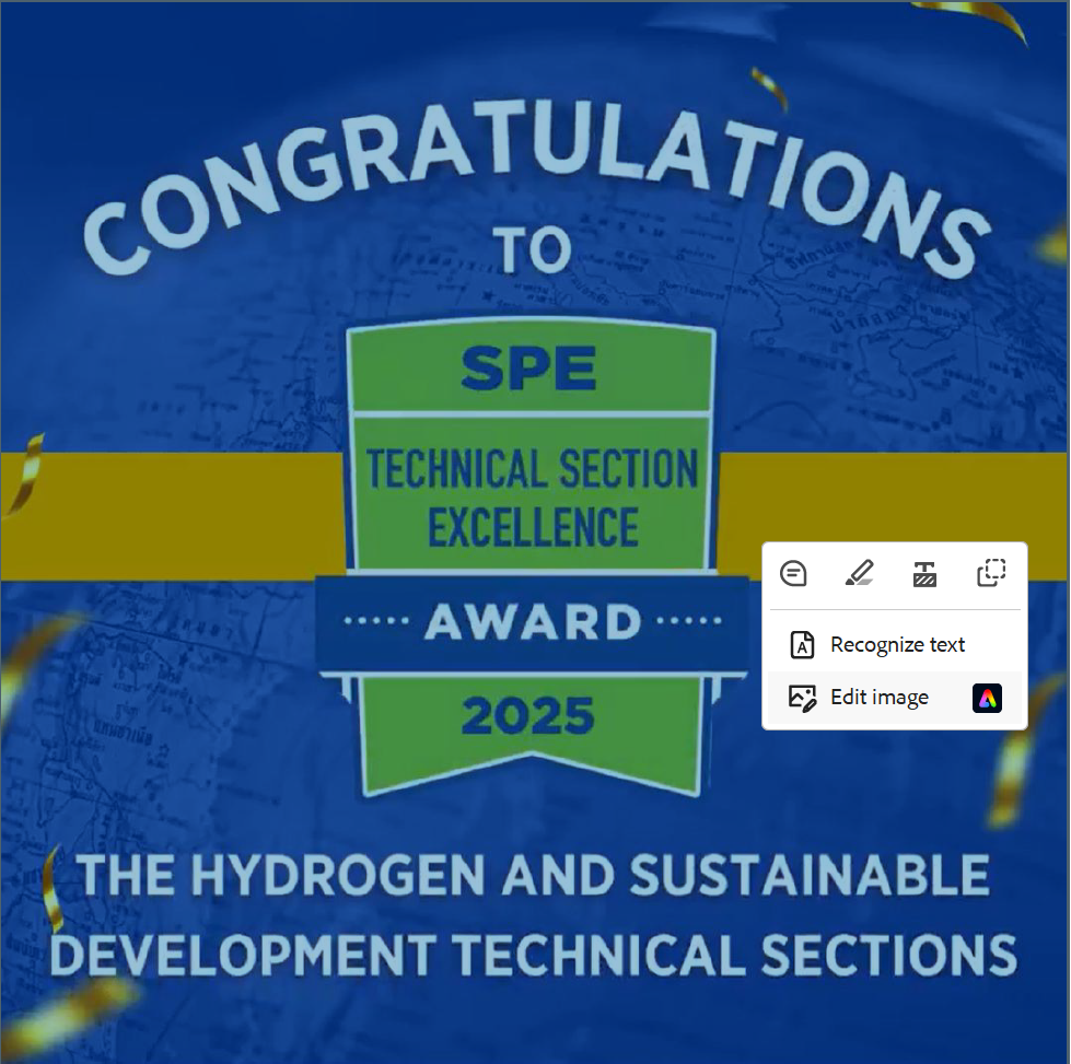 SPE Technical Section Excellence Award