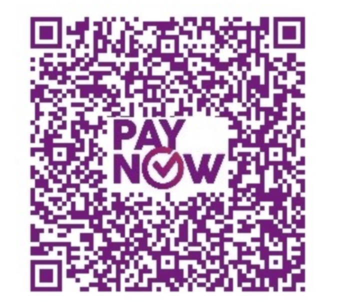 SPE SG Section Paynow code