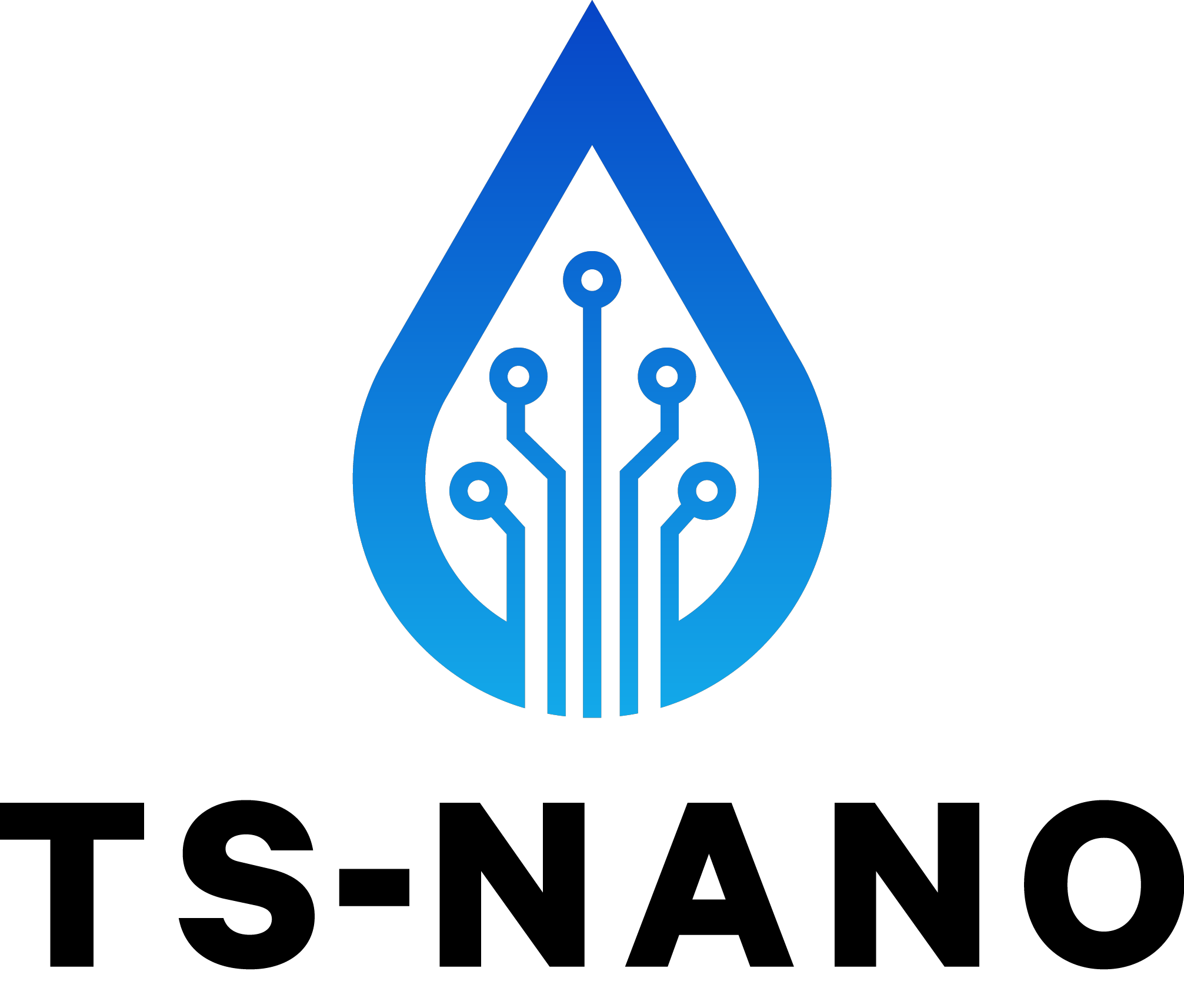 TS Nano Logo