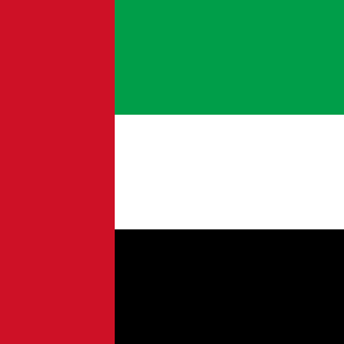 UAE flag
