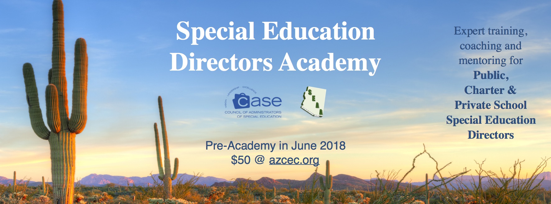 Directors Academy graphic