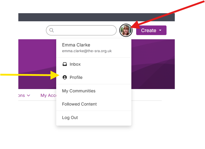 Screenshot showing how to find profile page
