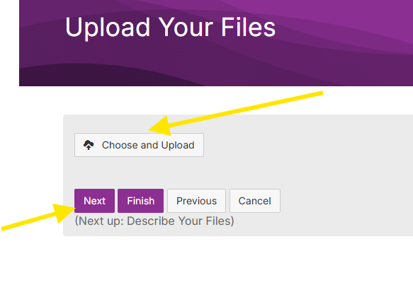 Screenshot showing step 2 of uploading a document
