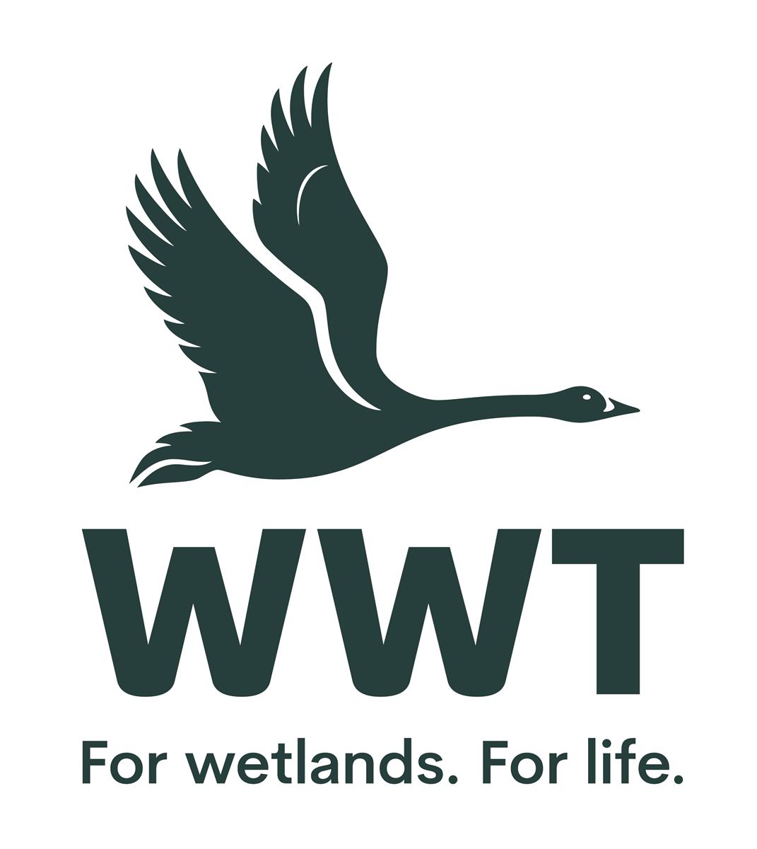 WWT logo