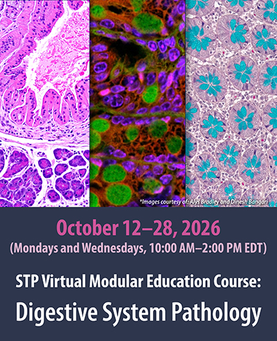 STP Modular Course